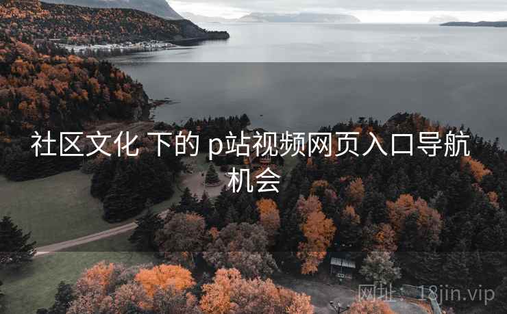 社区文化 下的 p站视频网页入口导航 机会