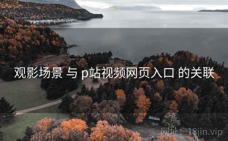 观影场景 与 p站视频网页入口 的关联