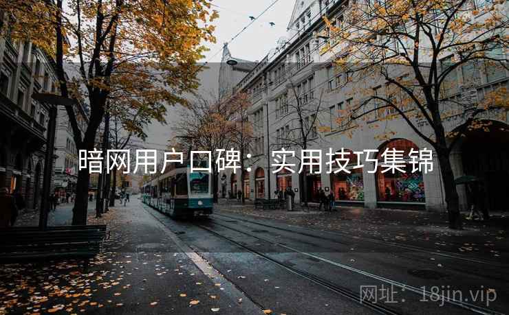 暗网用户口碑:实用技巧集锦