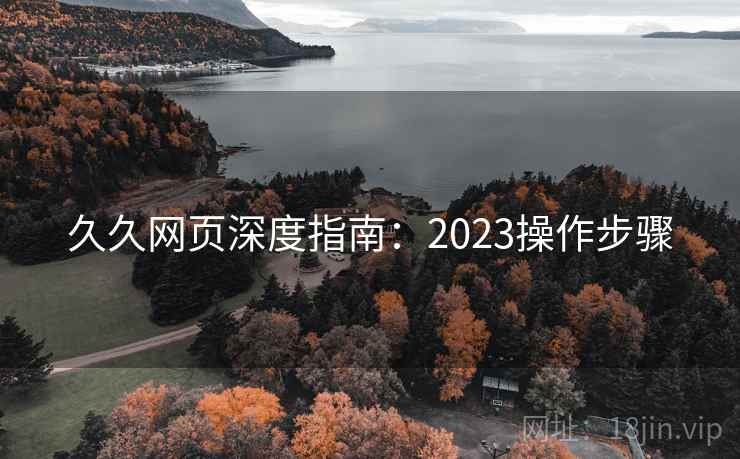 久久网页深度指南:2023操作步骤