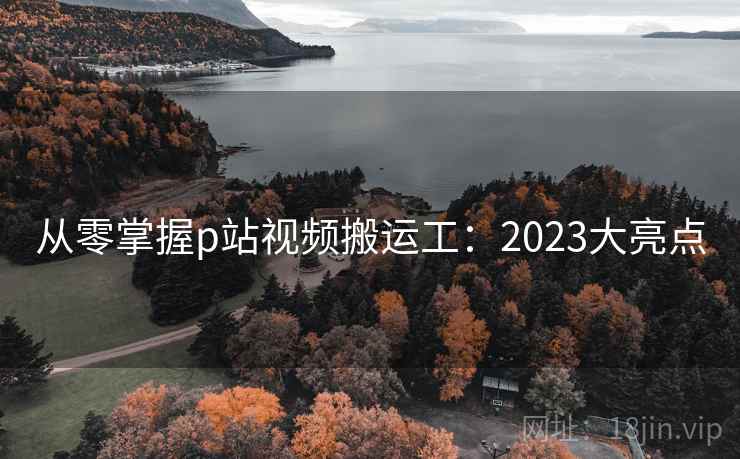 从零掌握p站视频搬运工:2023大亮点