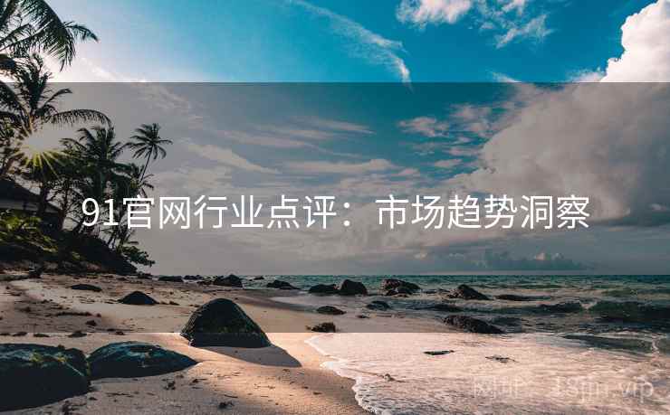 91官网行业点评:市场趋势洞察