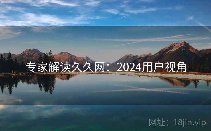 专家解读久久网:2024用户视角